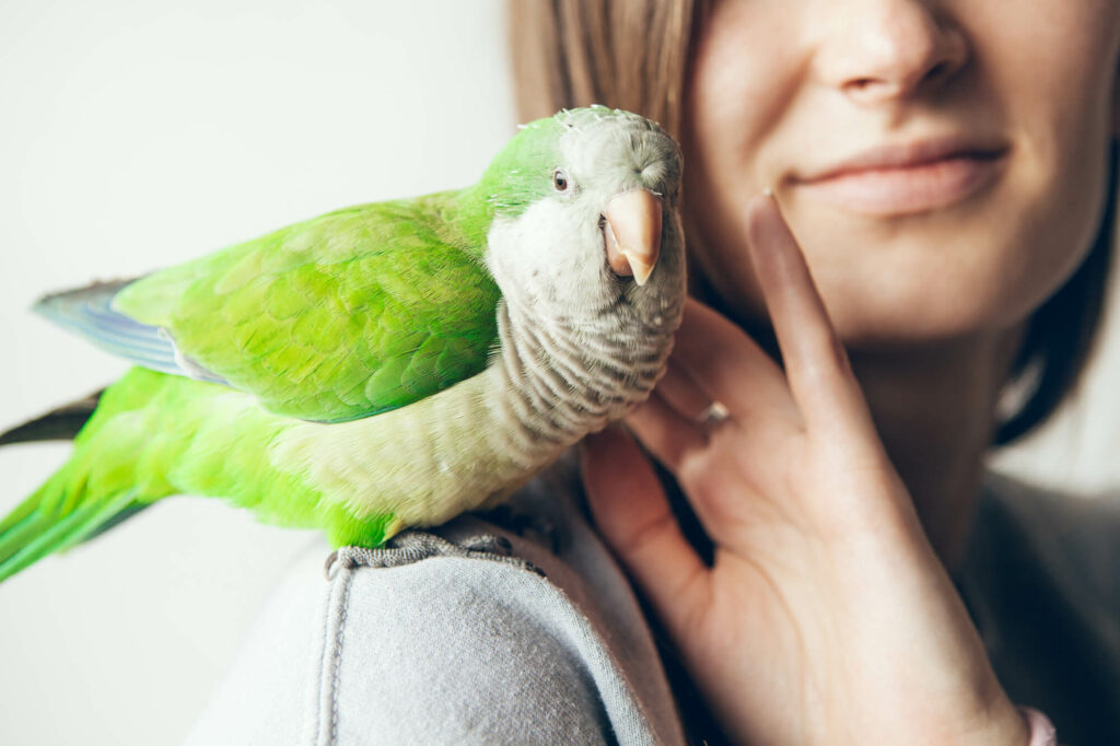 Close-up of smiling woman and cute Monk Parakeet