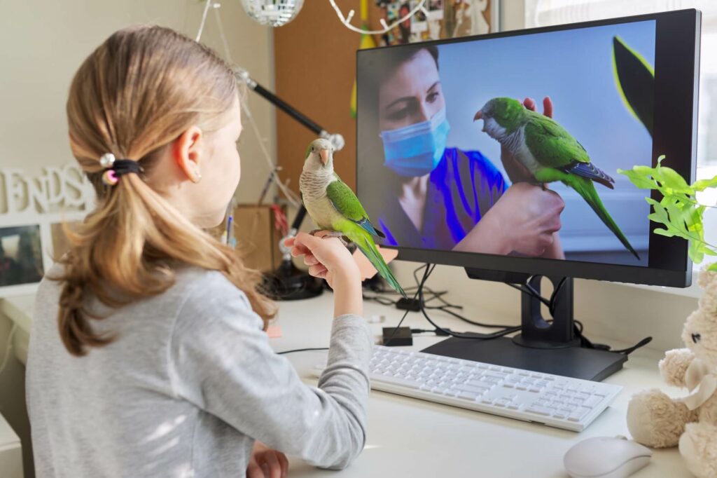 Girl and pet green parrot together at home